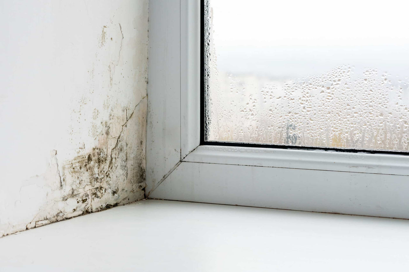 Fenêtre d’un appartement avec de la condensation et des tâches de moisissures